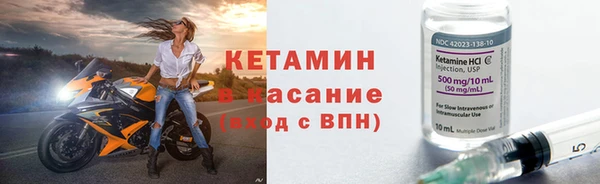дмт Бородино