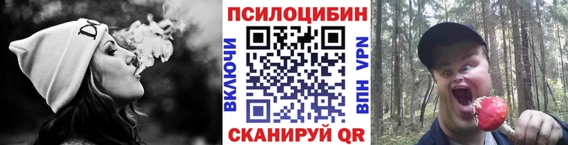 Псилоцибиновые грибы GOLDEN TEACHER  цены   kraken онион  Катав-Ивановск 